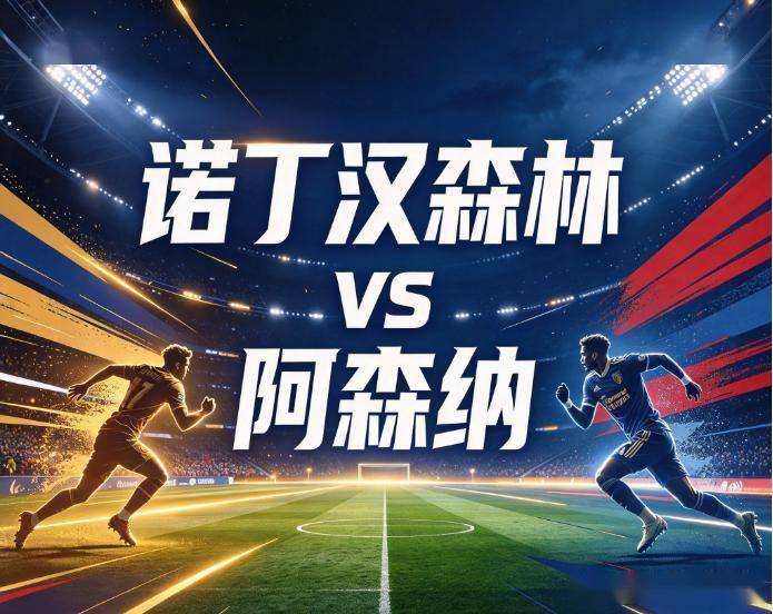 专业立即博服务