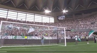 1792282593272077277.gif 专业立即博服务